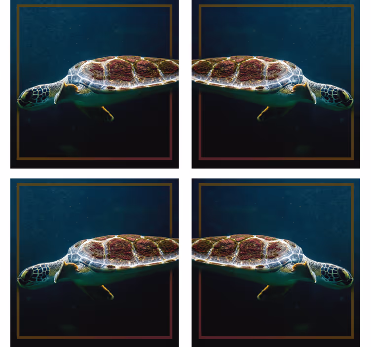 Posavasos negro de animales de tortuga - TenVinilo