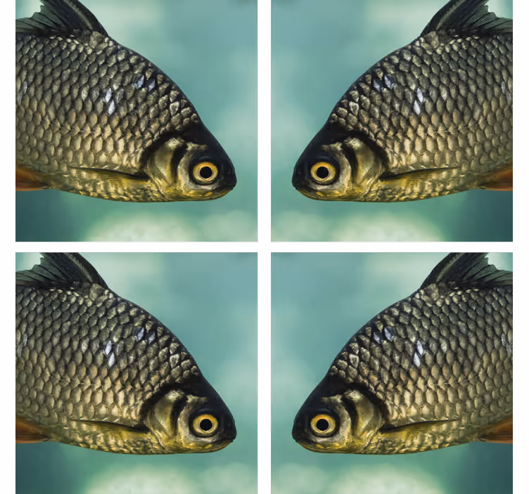 Portavasos frikis imagen realista de peces - TenVinilo