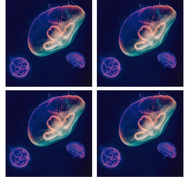 Portavasos frikis criaturas de medusas coloridas - TenVinilo