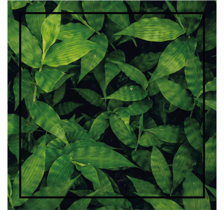 Portavasos patrón de hojas verdes lujosas - TenVinilo