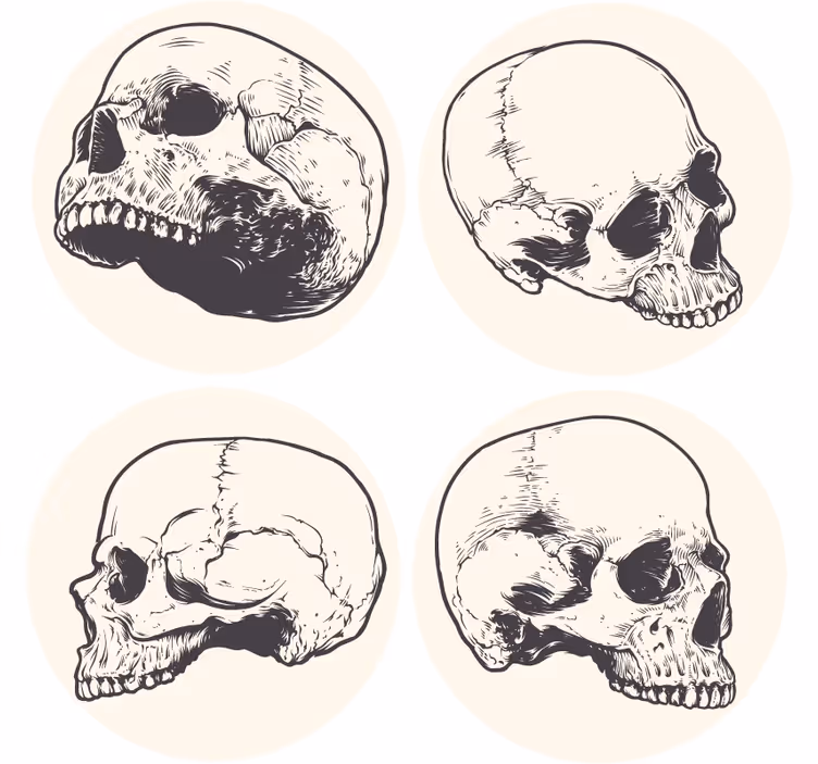 Portavasos frikis set de ilustraciones de calaveras - TenVinilo