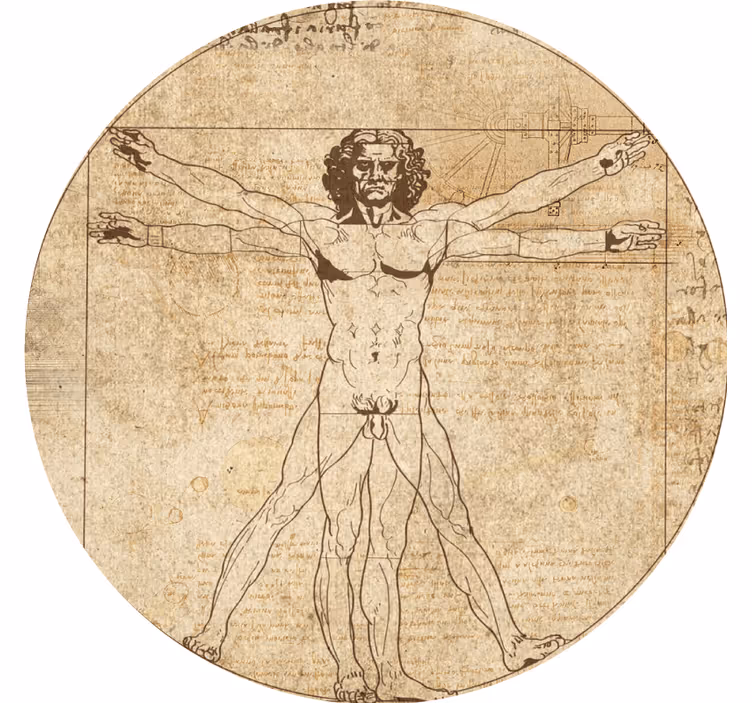 Portavasos moderno ilustración de la figura vitruviana - TenVinilo