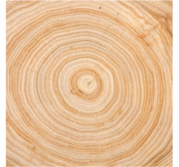 Portavasos círculo de vetado de madera - TenVinilo