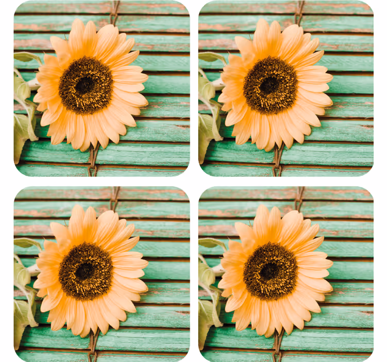 Portavasos moderno girasol con fondo verde - TenVinilo