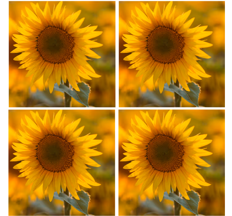 Portavasos moderno arreglo vibrante de girasoles - TenVinilo