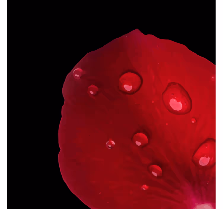 Portavasos pétalo de rosa humedecido - TenVinilo