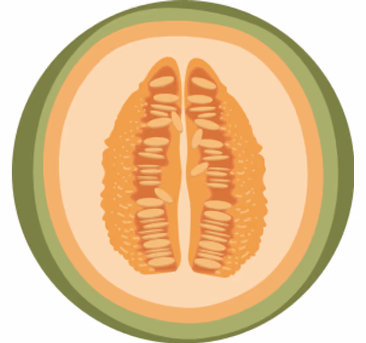 Portavasos frikis motivos de rodajas de fruta - TenVinilo