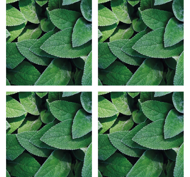 Portavasos motivo de hoja verde vibrante - TenVinilo
