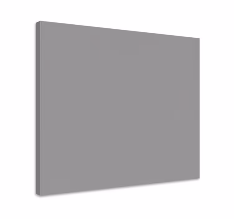 Cuadro moderno diseño gris liso - TenVinilo