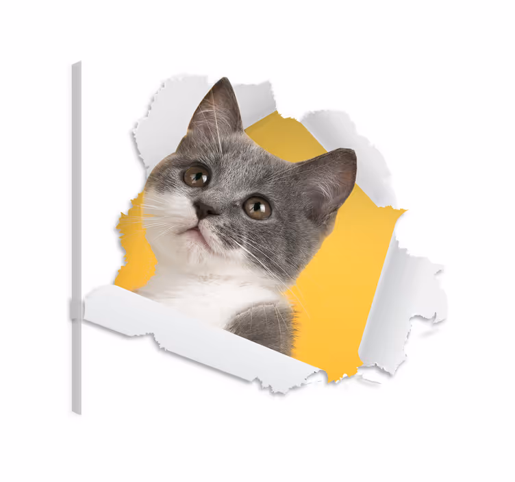 Cuadro de gatos sticker de gato 3d - TenVinilo