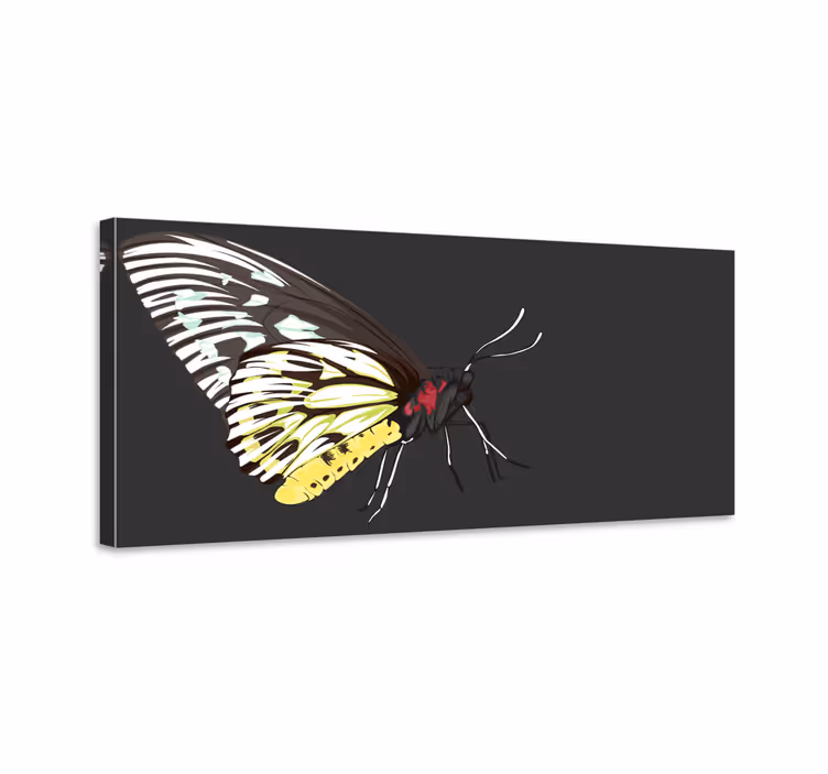 Cuadro mariposas mariposa amarilla realista detallada - TenVinilo