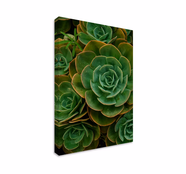 Cuadro de flores diseño de cactus - TenVinilo