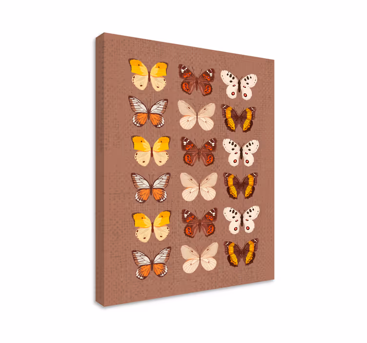 Cuadro mariposas exhibición colorida de mariposas - TenVinilo