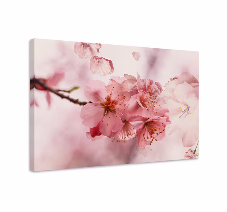Cuadro de flores flores de cerezo en flor - TenVinilo