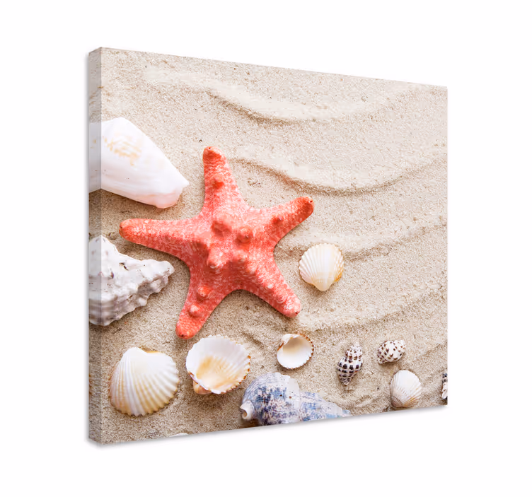 Cuadro animales estrellas y conchas en arena - TenVinilo