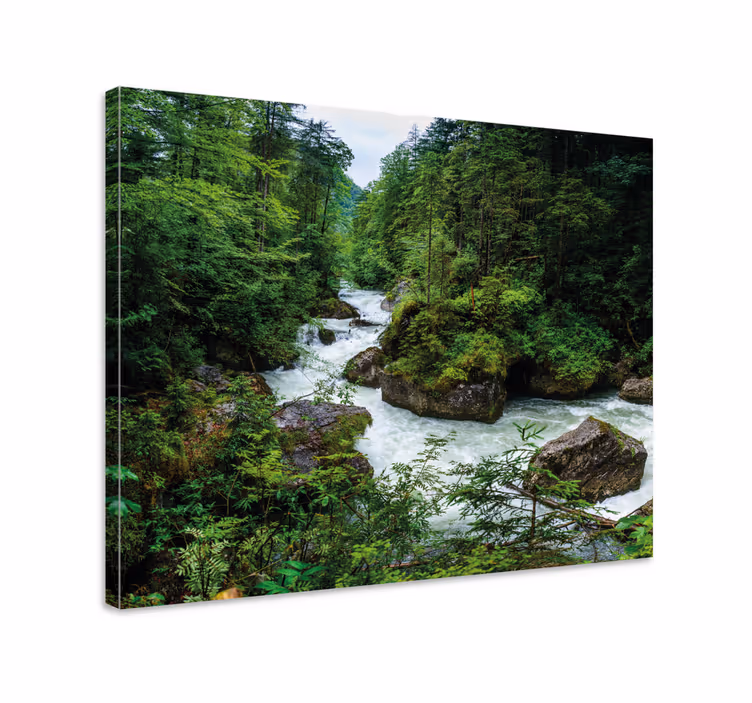 Cuadro paisajes Arroyo en las montañas - TenVinilo
