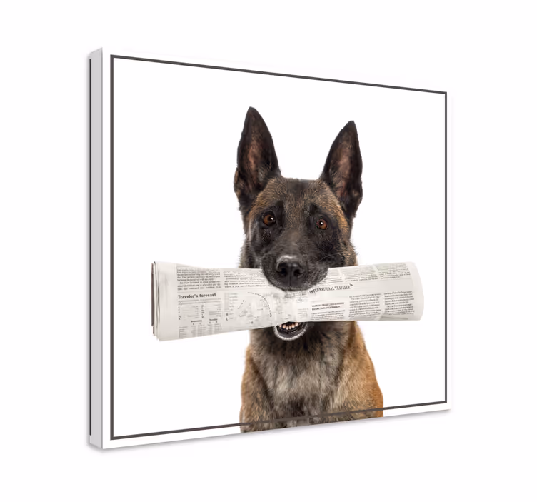 Cuadro de perro llevando un periódico - TenVinilo