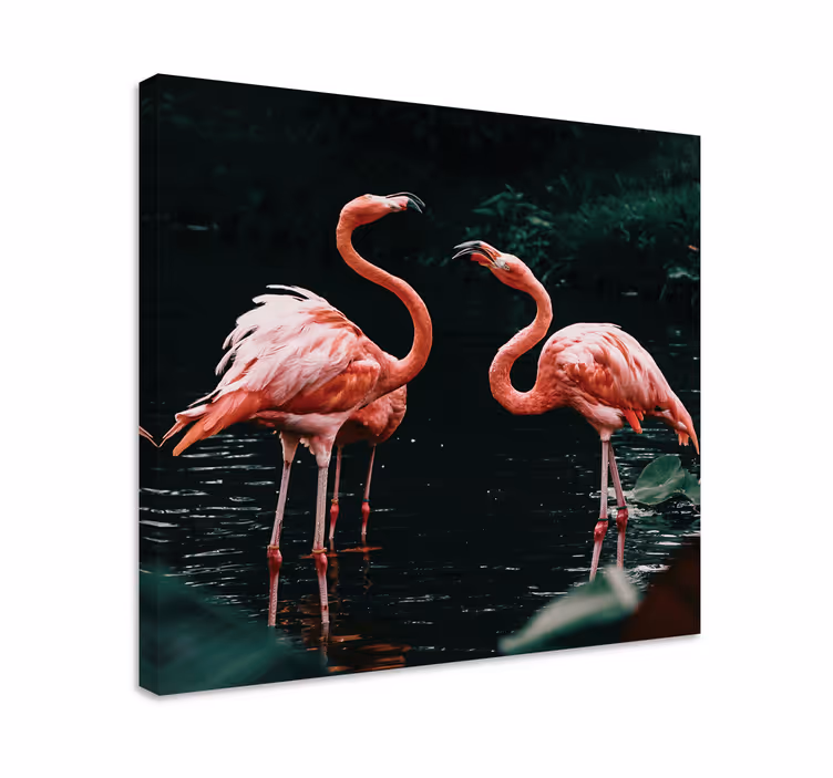 Cuadro animales Pareja de flamencos - TenVinilo