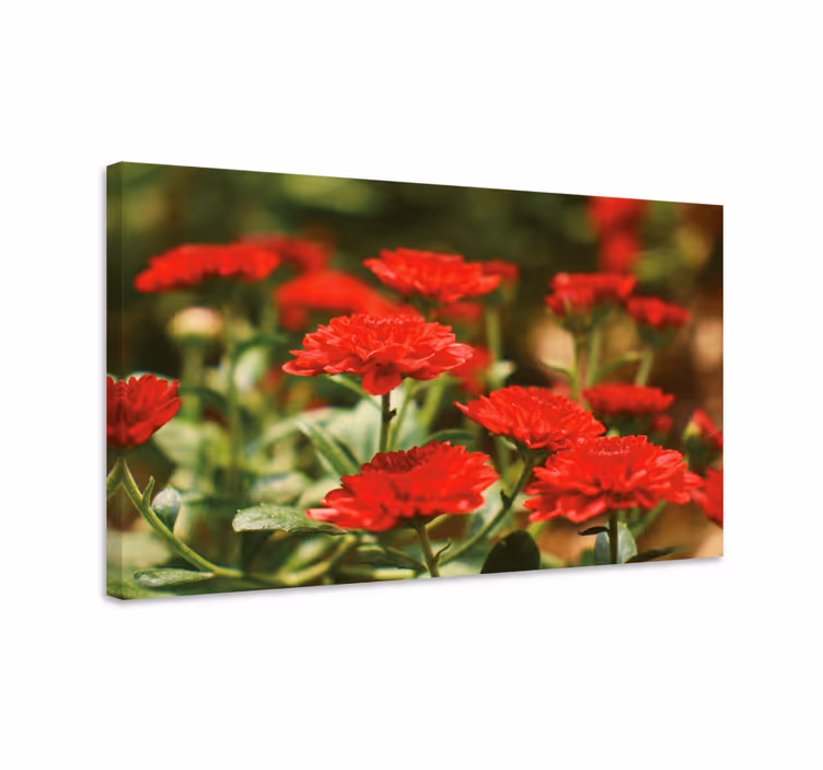 Cuadro de flores flores rojas en floración - TenVinilo