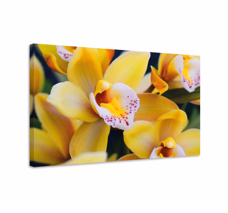 Cuadro de flores brotes de orquídea vibrantes - TenVinilo