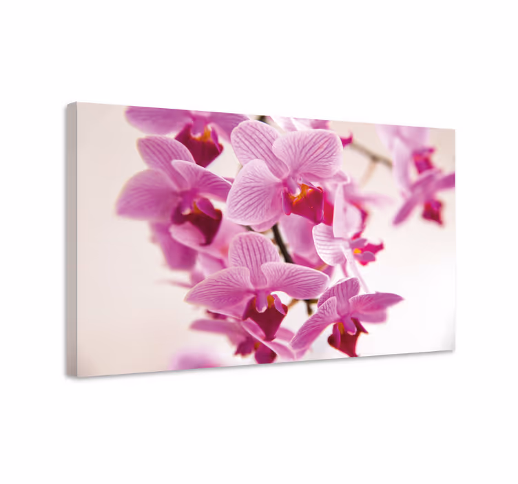 Cuadro de flores Flor de orquídea brillante - TenVinilo