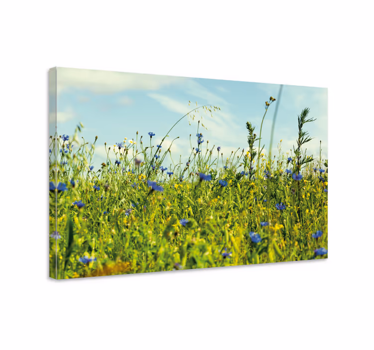 Cuadro de flores escena de pradera silvestre - TenVinilo