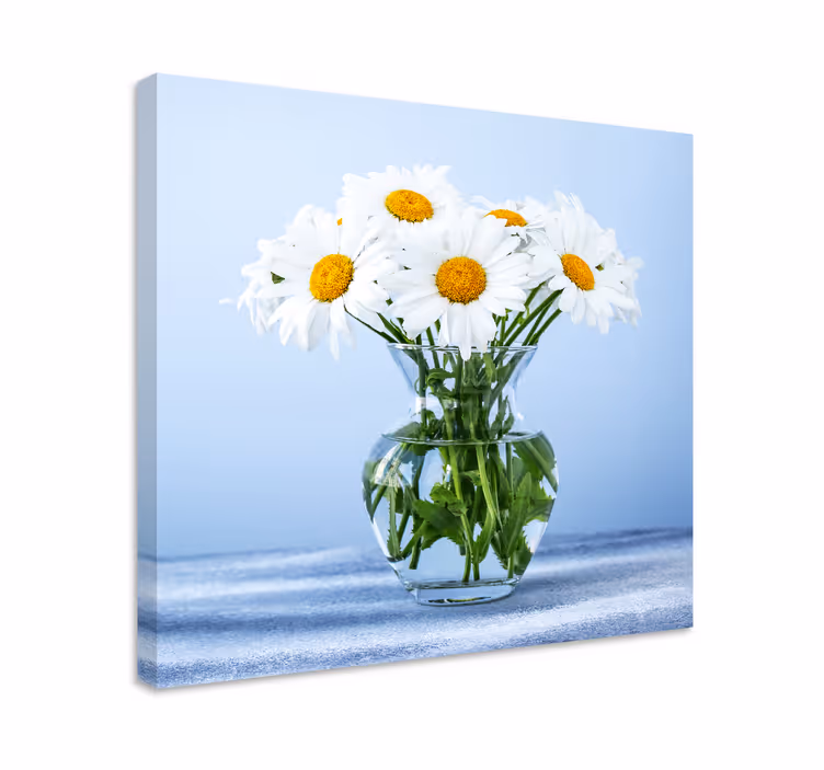 Cuadro de flores Flores de margarita en macetas de vidrio - TenVinilo