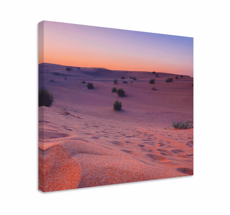 Cuadro paisajes serenidad de dunas del desierto - TenVinilo