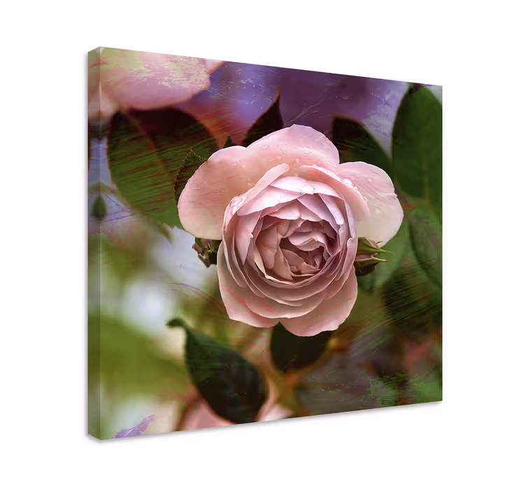 Cuadro de flores rosa pink blossom - TenVinilo