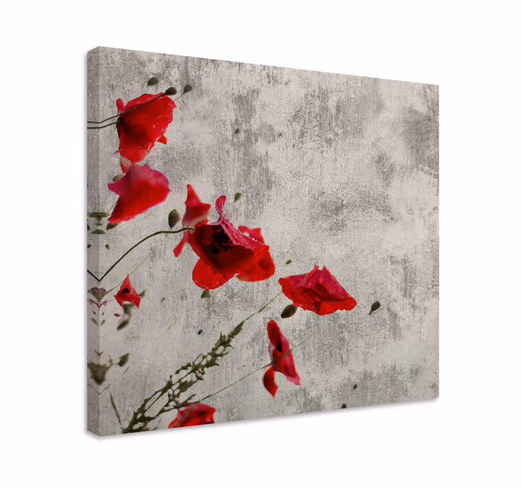 Cuadro de flores amapolas rojas - TenVinilo