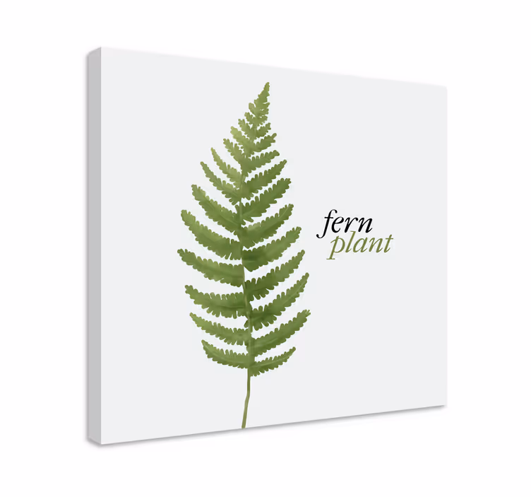 Cuadro de flores diseño de planta de helecho - TenVinilo