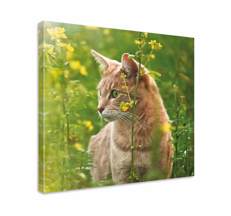 Cuadro de flores Lindo gato en un lugar floral - TenVinilo