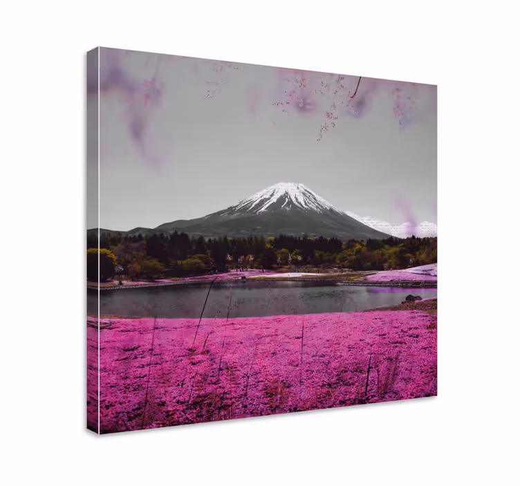 Cuadro de flores Campo de flores rosadas en japón - TenVinilo