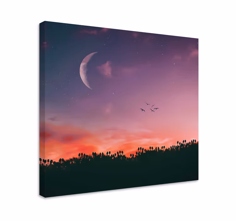 Cuadro paisajes cielo crepuscular iluminado - TenVinilo