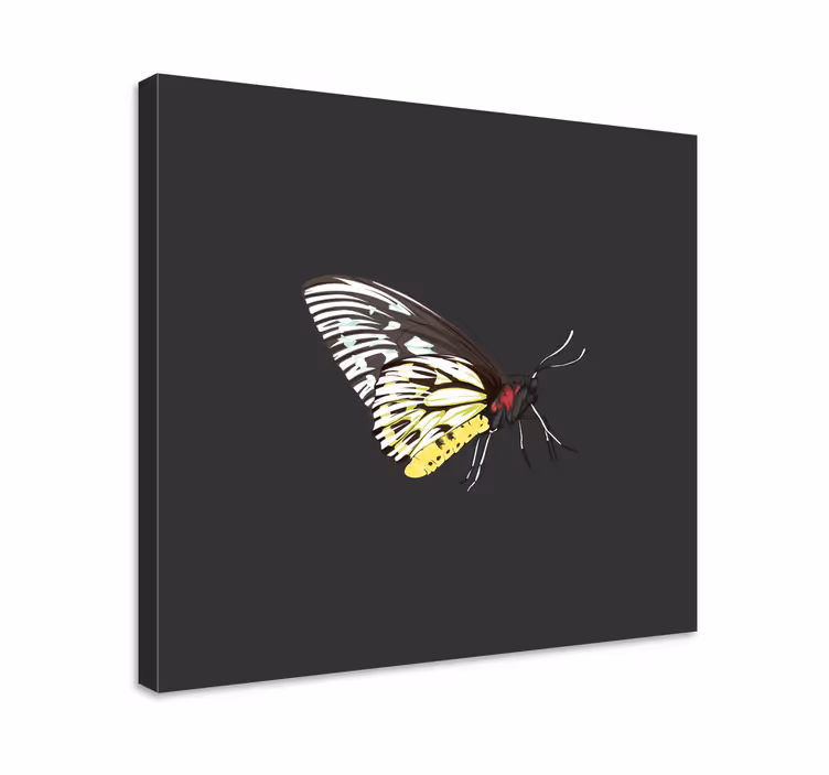 Cuadro mariposas Amarillo detallado realista - TenVinilo