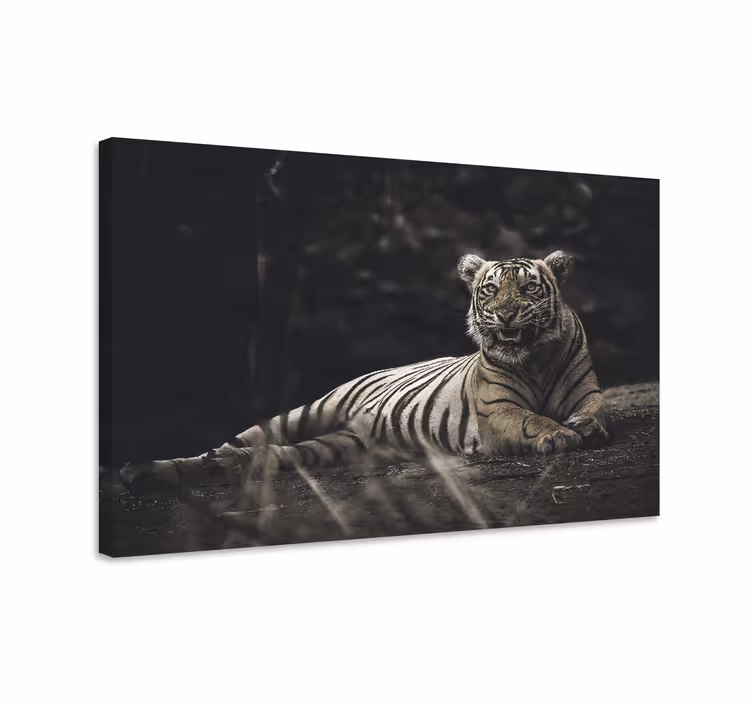 Cuadro animales Tigre acostado - TenVinilo