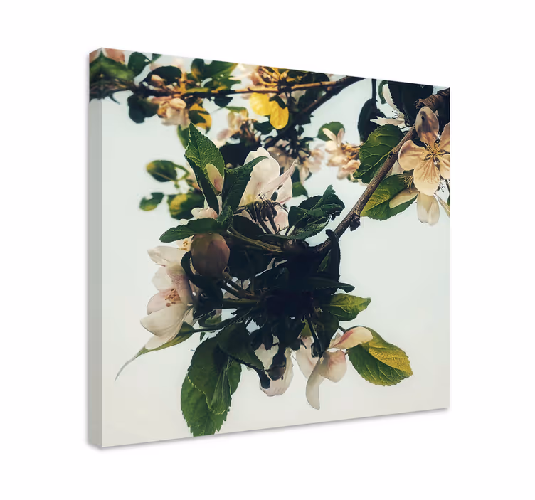 Cuadro de flores rama de manzano en flor - TenVinilo