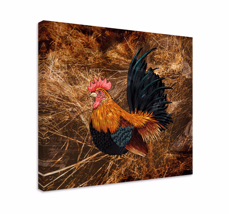 Cuadro aves Gallo dibujado en paja - TenVinilo