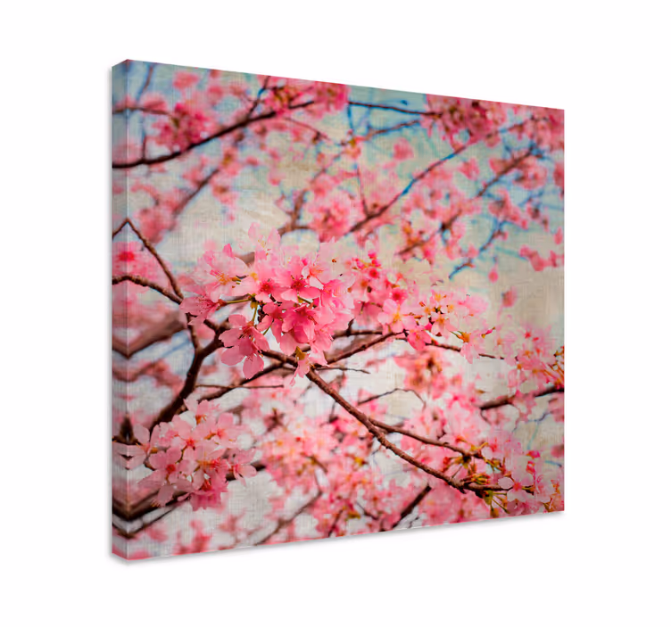 Cuadro de flores flores de cerezos en flor - TenVinilo