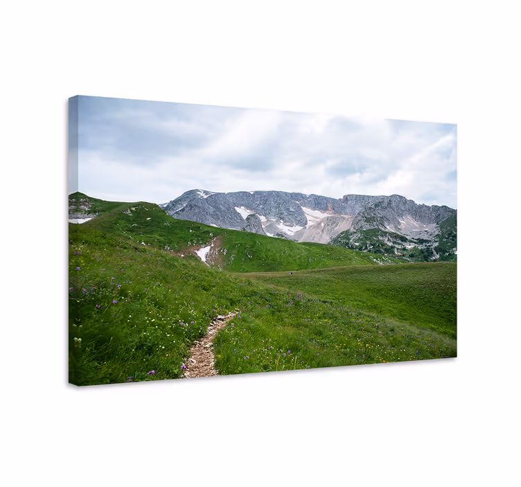 Cuadro paisajes sendero montañoso sereno - TenVinilo