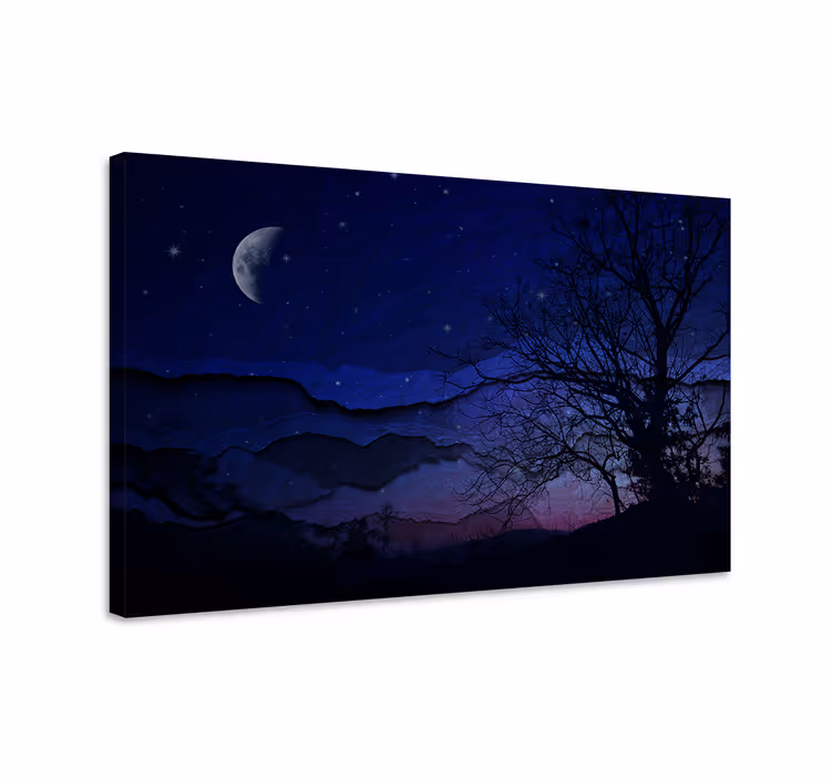 Cuadro paisajes serenidad del cielo nocturno - TenVinilo