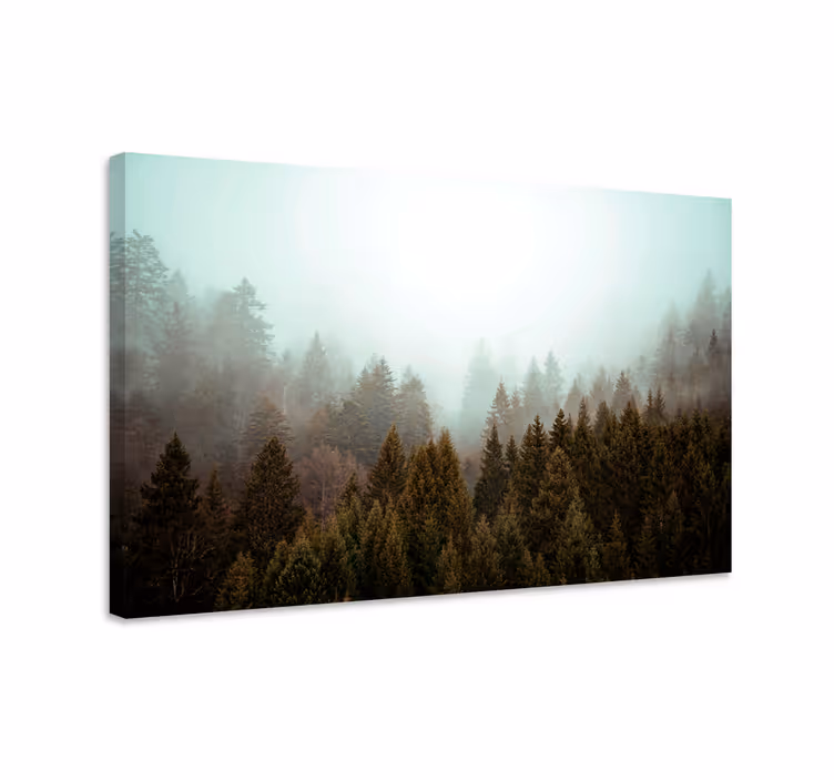 Cuadro paisajes Bosque de coníferas y niebla - TenVinilo