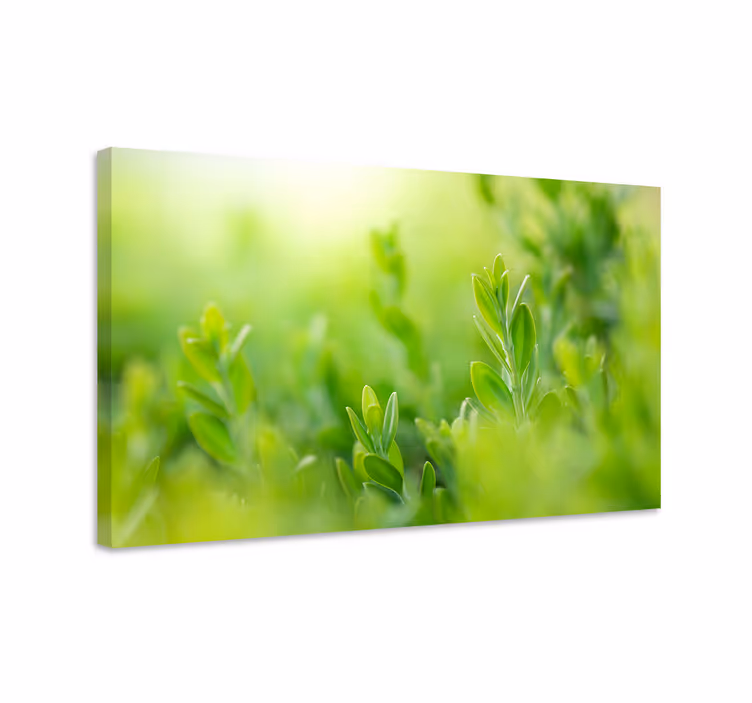 Cuadro de flores detalle de vegetación exuberante - TenVinilo