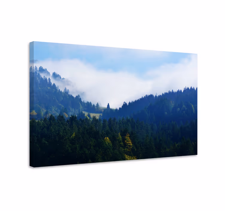 Cuadro paisajes cumbres majestuosas del bosque - TenVinilo