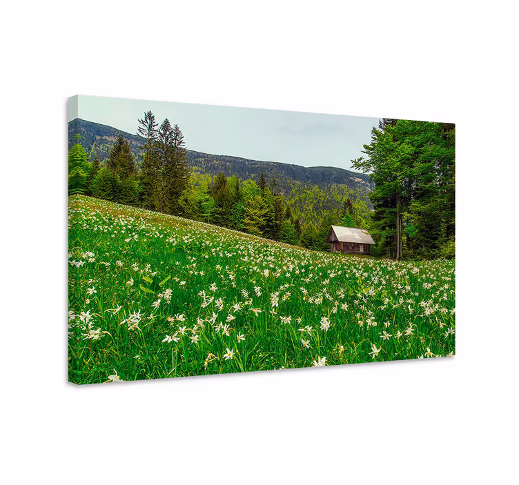 Cuadro paisajes Paisaje estilo cottagecore - TenVinilo