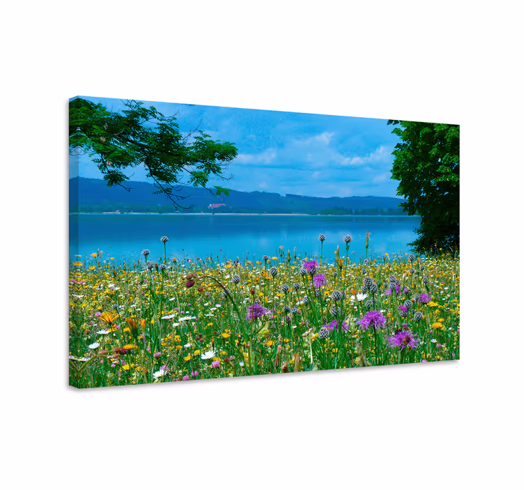 Cuadro de flores vista del prado en flor - TenVinilo