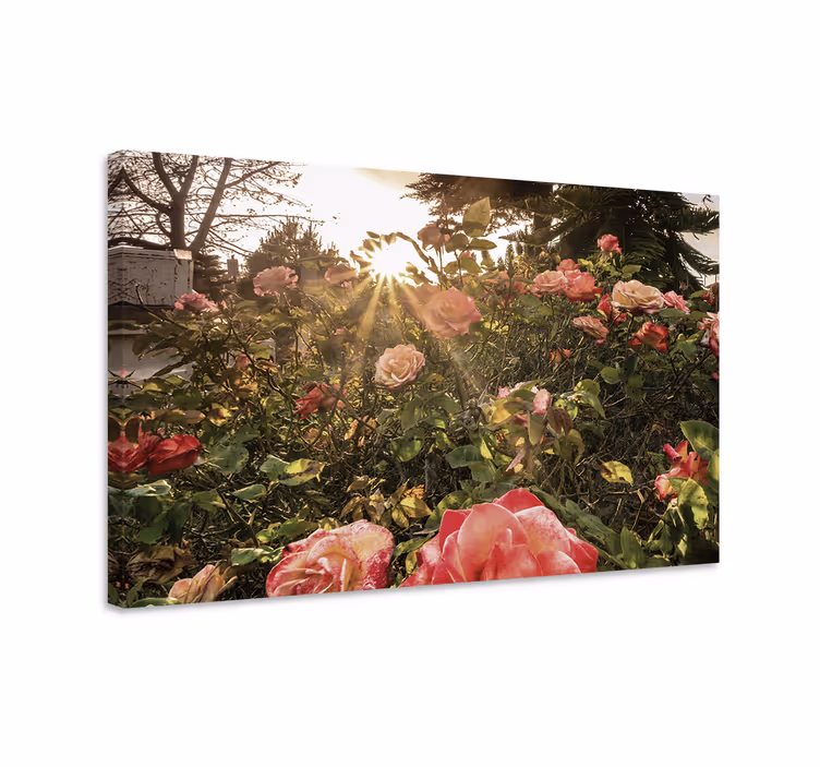 Cuadro de flores radiantes rosas en flor - TenVinilo