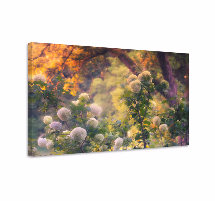 Cuadro de flores prados florales en floración - TenVinilo