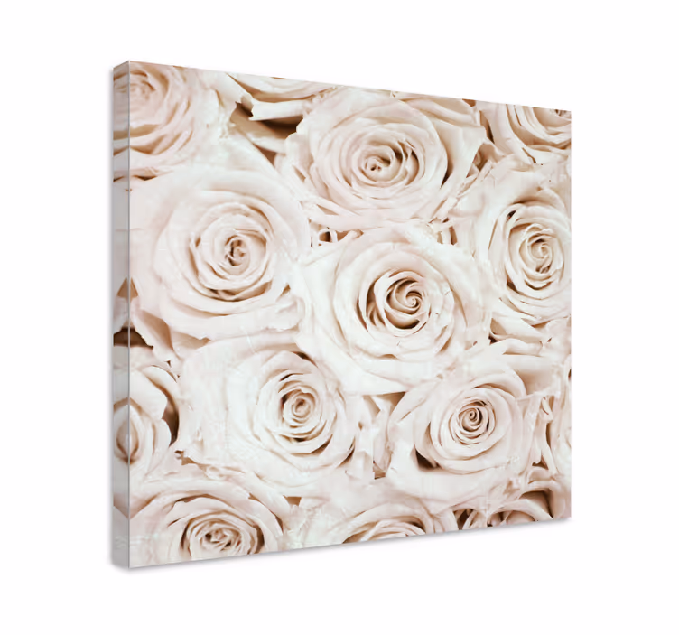 Cuadro de flores Elegante diseño de flor rosa blanca - TenVinilo