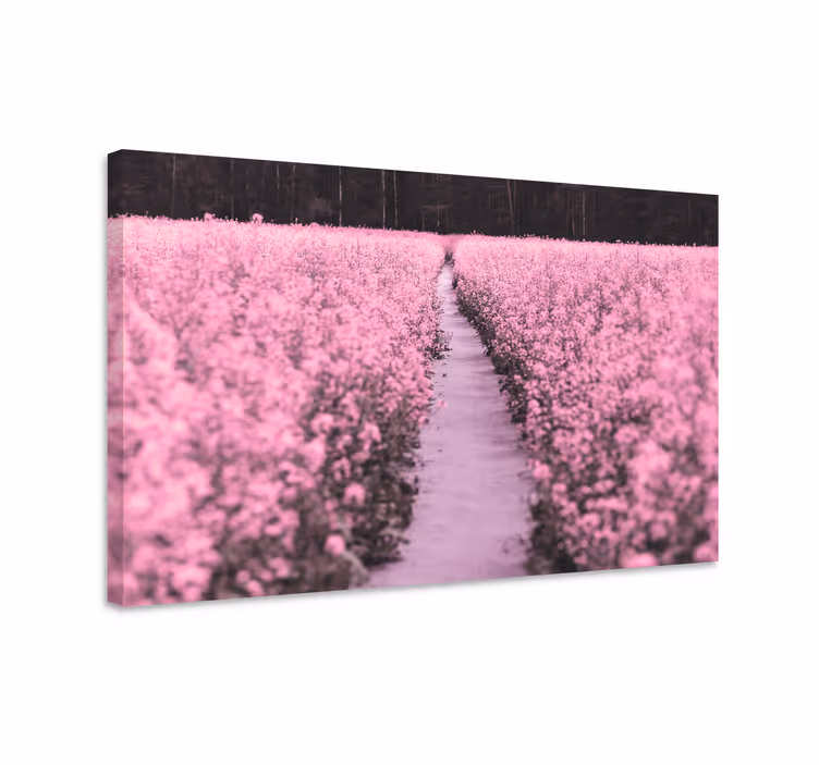 Cuadro de flores sendero entre flores - TenVinilo